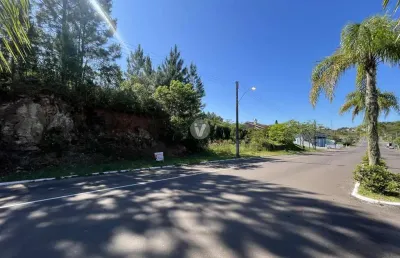 Terreno à venda na Osvaldo Zambonato, n 248 LOTE, Vila Catani, Silveira Martins