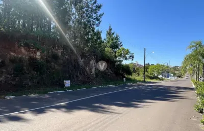 Terreno à venda na Osvaldo Zambonato, n 278 LOTE, Vila Catani, Silveira Martins