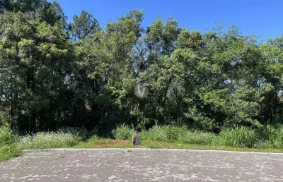 Terreno à venda na Rua Dom Albino Luciani, LOTE 06, Vila Catani, Silveira Martins