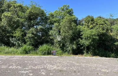 Terreno à venda na Rua Dom Albino Luciani, LOTE 05, Vila Catani, Silveira Martins
