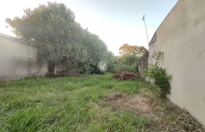 Terreno à venda na Avenida Prefeito Evandro Behr, sn, Camobi, Santa Maria
