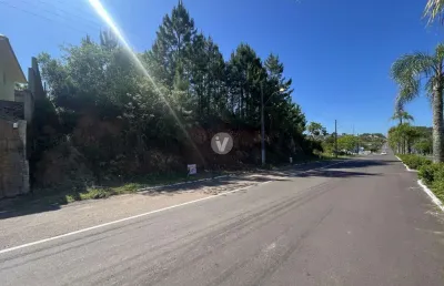 Terreno à venda na Osvaldo Zambonato, n 292 LOTE, Vila Catani, Silveira Martins