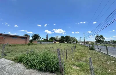 Terreno de esquina no parque pinheiro machado - pronto para construir