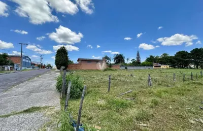 Terreno no parque pinheiro machado - pronto para construir