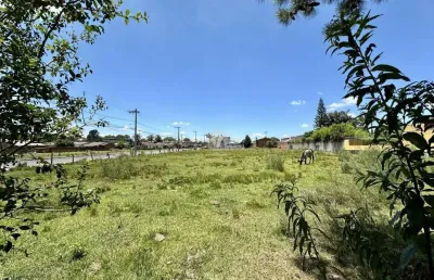 Terreno de esquina no parque pinheiro machado - pronto para construir