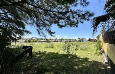 Terreno de esquina no parque pinheiro machado - pronto para construir