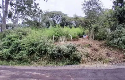 Terreno de 1042,71m² no cerrito, local de muita energia boa!