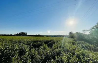 Chácara / sítio à venda na Estrada Pau A Pique, 999, Diácono João Luiz Pozzobon, Santa Maria