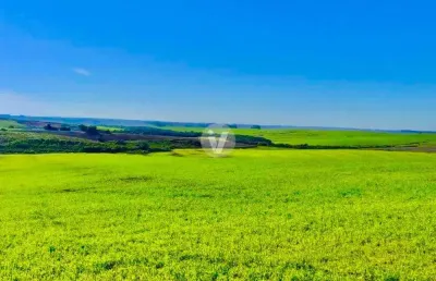 Área rural à venda em cacequi com 300 ha, possuindo 10ha de barragem