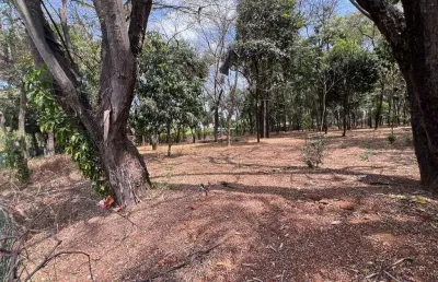 Terreno em condomínio fechado à venda na Estância das Amendoeiras, Lagoa Santa 