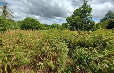 Terreno à venda, 1000 m² por r$ 700.000,00 - jardim ipê - lagoa santa/mg