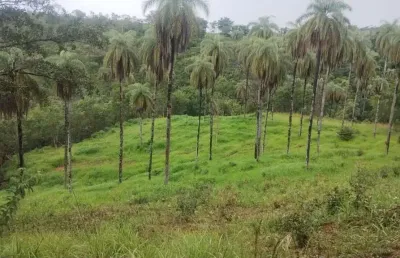 Área à venda, 110000 m² por r$ 403.000,00 - zona rural - jaboticatubas/mg