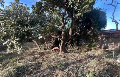 Terreno à venda, 360 m² por r$ 380.000,00 - lundcea - lagoa santa/mg