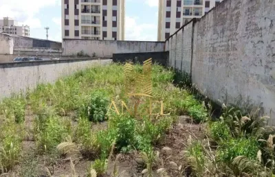 Terreno à venda no Jardim Vila Formosa, São Paulo 