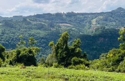 Sítio / chácara para venda no bairro boa vista do herval em santa maria do herval