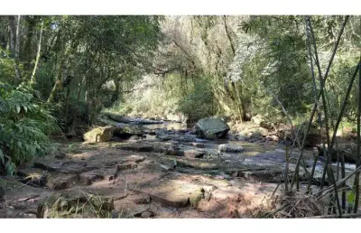 Sítio / chácara para venda no bairro são jacó em nova petrópolis