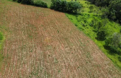 Sítio / chácara para venda no bairro serra grande em igrejinha