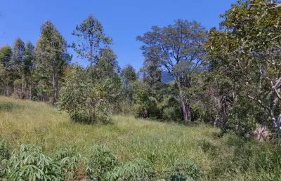 Sítio / chácara para venda no bairro zona rural em araricá