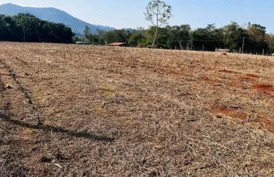 Sítio / chácara para venda no bairro zona rural em nova hartz