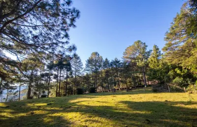 Sítio / chácara 3 quartos para venda no bairro centro em morro reuter