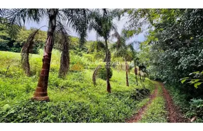 Sítio / chácara para venda no bairro serra grande em igrejinha