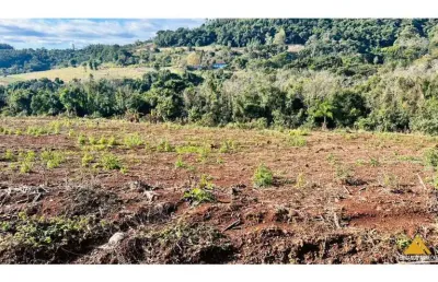 Sítio / chácara para venda no bairro linha quatro cantos em morro reuter