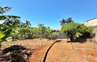 Casa térrea comercial à venda no bairro ribeirânia, localizado na avenida costábile romano, próximo a unaerp - ribeirão preto/sp.