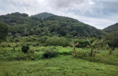 Chácara / sítio à venda na caminho do morro dos caboclos, 50, campo grande, rio de janeiro, 2911 m2 por r$ 259.900
