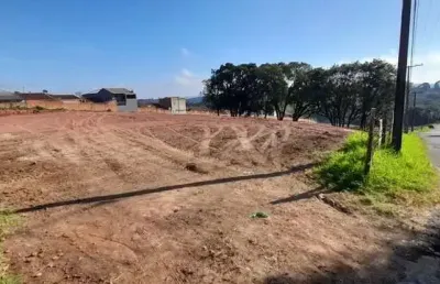 Terreno à venda no Loteamento Miranda, Campo Largo 