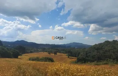 Fazenda à venda no Bateias, Campo Largo 