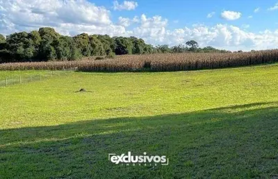 Sítio quinta da bela vista com 3.527 m² à venda em campo alegre