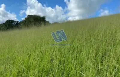 Fazenda à venda na Praça Presidente Médice, S/n, Centro, Pedrão