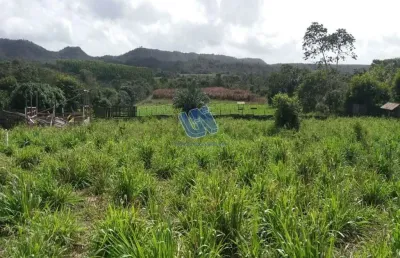 Fazenda à venda na Avenida Eronildes Soares Bonfim 148 Lote 02 Quadra 10, S/N, Centro, Araçás