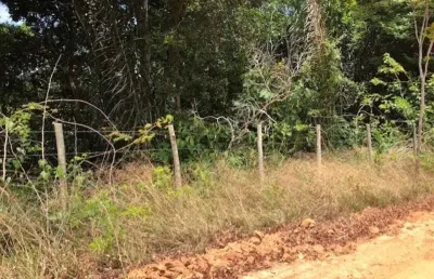Terreno com 10.000m2 em açu da torre - mata de são joão