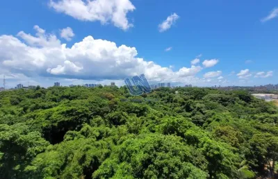 Apartamento 4 quartos sendo 1 suíte 107m2 no parque bela vista