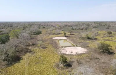 Fazenda com 1 sala à venda na poconé, 2, zona rural, poconé por r$ 11.000.000