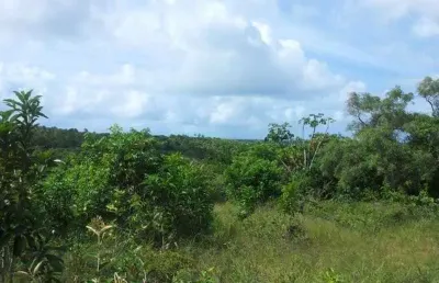 Terreno em malhadas no asfalto perto de praia do forte