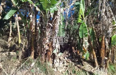 Chácara residencial à venda, vila assunção, praia grande - ch0005.