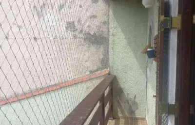 Casa com 2 quartos à venda na Rua Silvestre Vasconcelos Calmon, Parque Continental I, Guarulhos