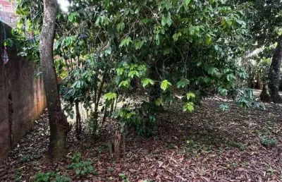 Terreno à venda, 232 m² por r$ 446.000,00 - jardim rosa de franca - guarulhos/sp