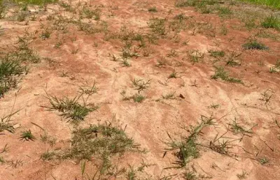 Terreno à venda, 500 m² por r$ 318.000,00 - correas - arujá/sp