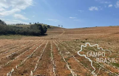 Fazenda 250 hectares de  criação de zebuíno, nelore mocho, puro de origem (po), porteira fechada no sul de minas gerais!