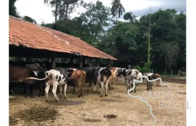 Linda fazenda 159,56 hectares localização privilegiada em cruzeiro !
