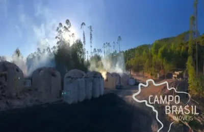 Fazenda 165 hectares em carvalhos com potencial turístico e carvoeiro!