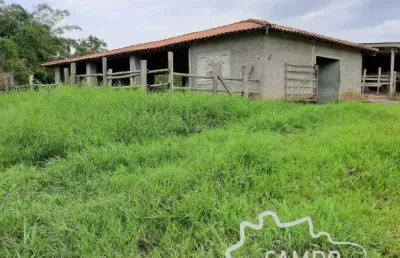 Sítio em caçapava 5 alqueires com ótima topografia!