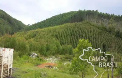 Fazenda 32 alqueires com plantação de eucalipto em paraibuna!