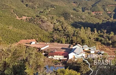 Fazenda 216 hectares com 500 mil pés de café especial no sul de minas