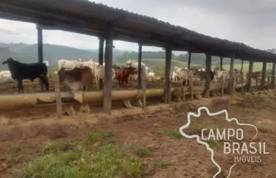 Fazenda com 1 sala à venda na centro, centro, tremembé por r$ 10.000.000
