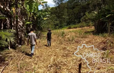 Sítio na beira do asfalto, com cachoeiras e 3aq de eucalipto.