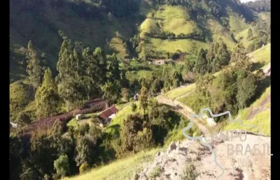 Chácara / sítio com 4 quartos à venda na Estrada Principal, Centro, São Luiz do Paraitinga